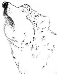 Беда. Господа - настоящая беда.