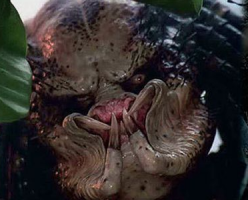 Мне этот персонаж сразу вспомнился