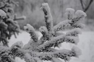 Хоть лето люблю больше зимы, но зимние пейзажи нравятся тоже.
