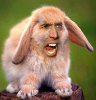  Николас Кейдж может быть кем угодно!