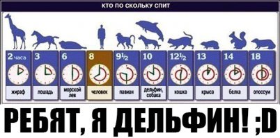 Памятка для желающих хорошо выспаться