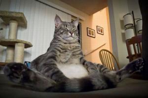 Фотоподборка за 01.07.2014