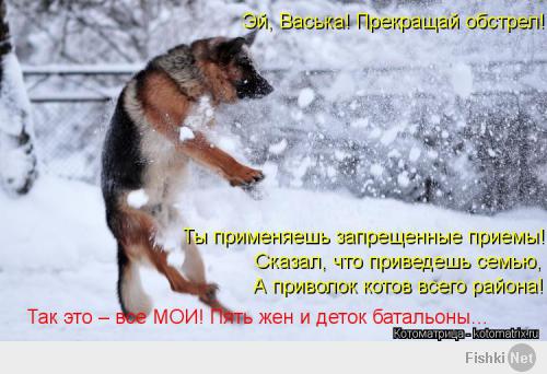 Предыстория-)