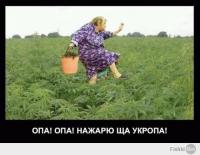 Фишкина солянка за 02.09.2014