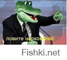 Приключения Толяна