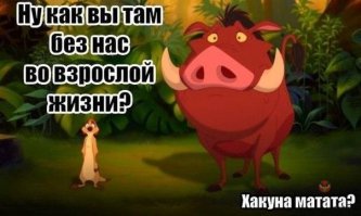 Смешные комментарии из социальных сетей 13.05.15