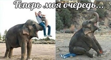 Смешные комментарии из социальных сетей 13.05.15