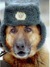 А зимой вот так)