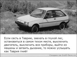 Она понимала человеческий язык