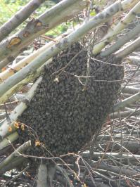 2 недели назад прилетели...