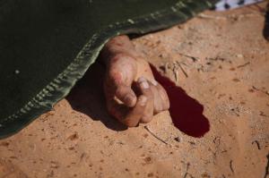 по названию я ожидал увидеть что-то вроде этого