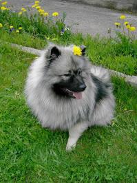 Было — стало =)