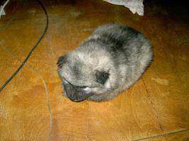 Было — стало =)