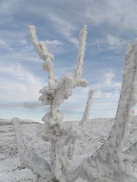 у нас на Чатыр-Даге, да и на других горах в Крыму тоже самое)