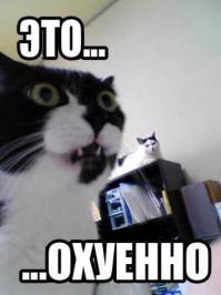 Под углом зрения