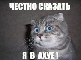 Болгары отказываются верить в произошедшее, предпочитают дальше обсуждать строительство Южного Потока и переезжают жить в параллельную реальность. Ничего страшного, пока, но смирительную рубашку и галоперидол лучше держать под рукой!