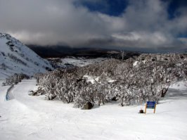 Дабы не быть голословным - вот мои фотки со Snowy Mountains:
