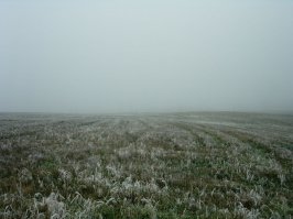 Снято 12 лет назад на "веб-камеру с памятью".