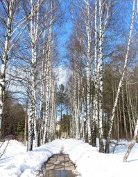 12 одиноких и великолепных дорог со всего света