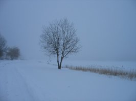 12 одиноких и великолепных дорог со всего света