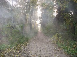 12 одиноких и великолепных дорог со всего света