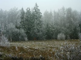 Снято 12 лет назад на "веб-камеру с памятью".