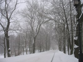 12 одиноких и великолепных дорог со всего света