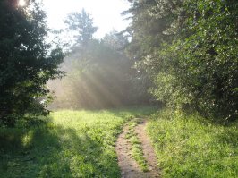 12 одиноких и великолепных дорог со всего света