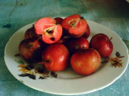 Красный цвет мякоти - естественный для яблок. Другое дело, что такие яблоки терпкие и вяжущие, не всем нравятся.