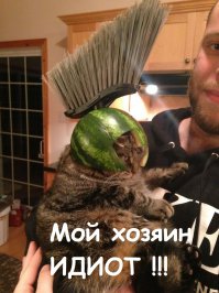 Фотоподборка за 26.12.2014