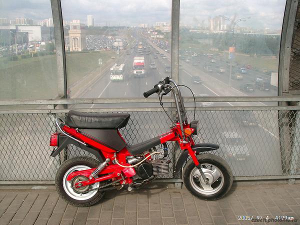 А как же стелла