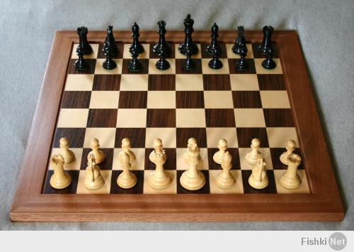 вот тебе шахматы, логику развивает!