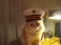 Дембельский аккорд или голь на выдумку хитра