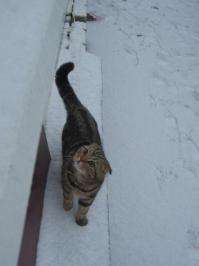 Прошлой зимой.