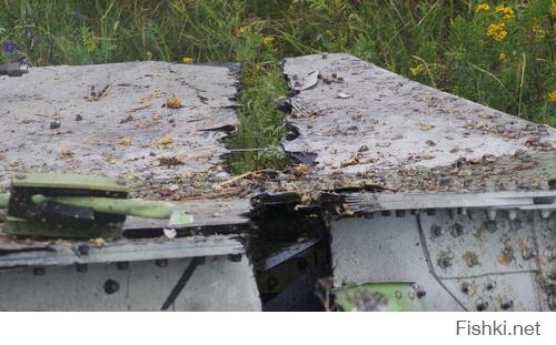 Новые неудобные факты крушения Боинга МН-17 на Донбассе 17 июля