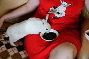 Фишкина солянка за 21.11.2014