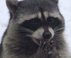 Как мне стыдно было