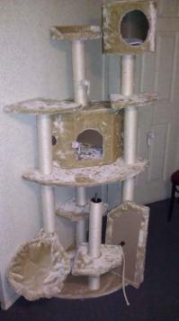 Недавно отдал... Не заценила кошка.