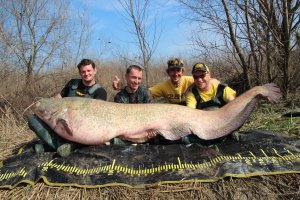 А этого так и не смогли поднять...