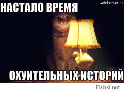 вот вам кот