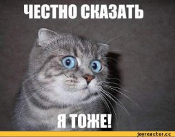  Курьезы из врачебной практики 