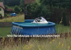 Красиво жить не запретишь...(часть 2)