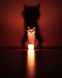 Стакан с водой