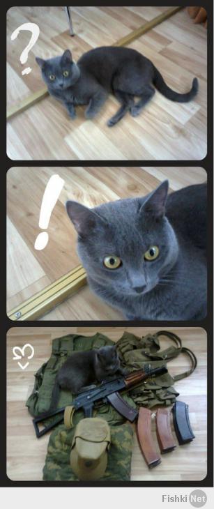 Фишкина солянка за 19.02.2014