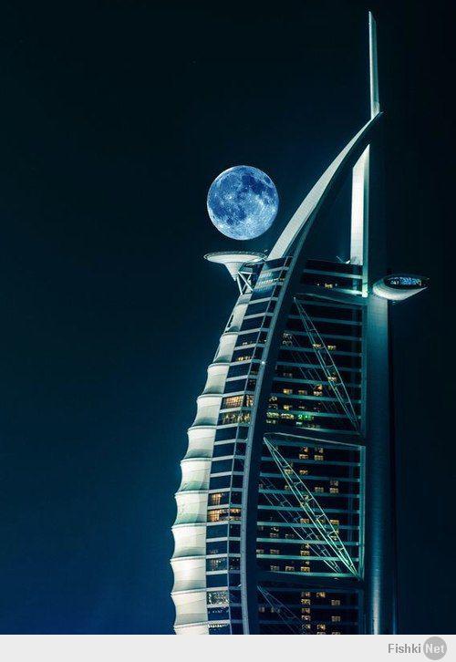 Фишкина солянка за 19.02.2014