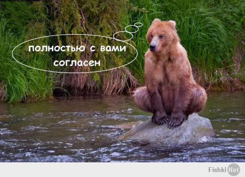 Фишкина солянка за 19.02.2014