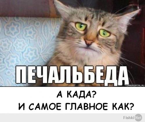 Предложения и пожелания по проекту