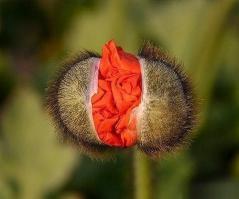 Интересные факты об одежде