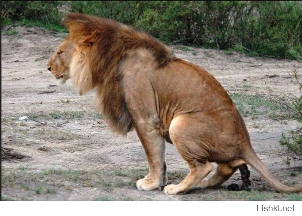 очень интересно