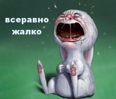 Щуки на охоте, топ 5 атак зубастых хищниц